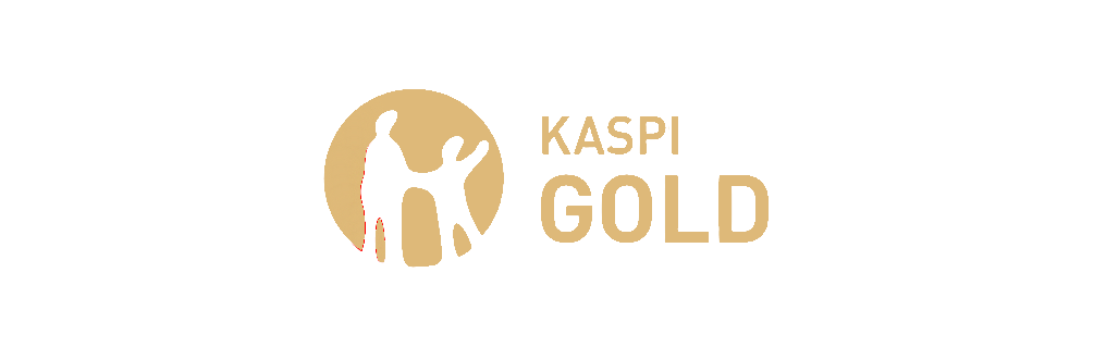 Kaspi Pay